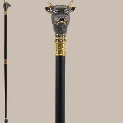 Luxury Fashion Walking Stick