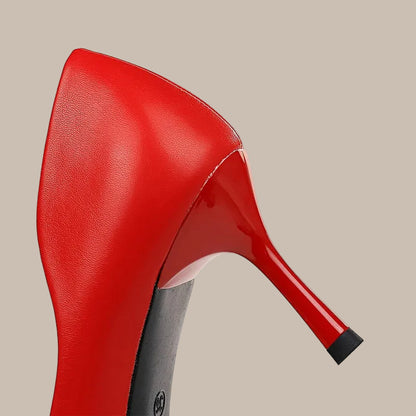 Pointed Stiletto Banquet Shoes