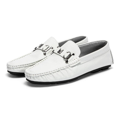 Perfect for Office & Daily Wear
