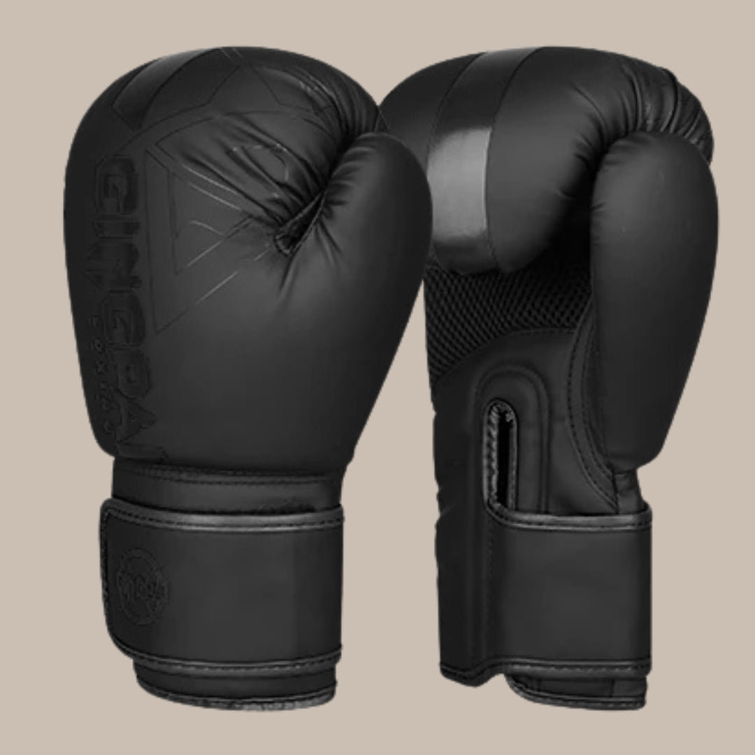 Professional Boxing Gloves
